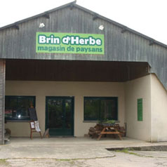 Brin d'Herbe