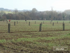 planter-des-arbres-volailles-renault-louvigne-de-bais